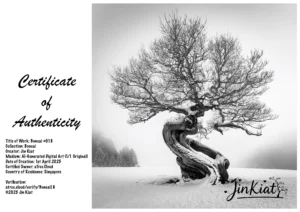 Certificate of Authencity