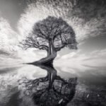 Reflections-003